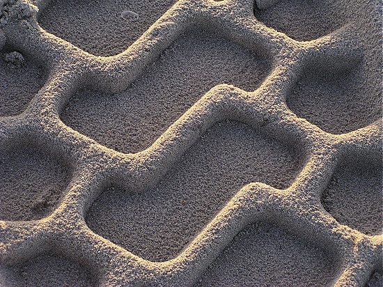 tracks on the beach